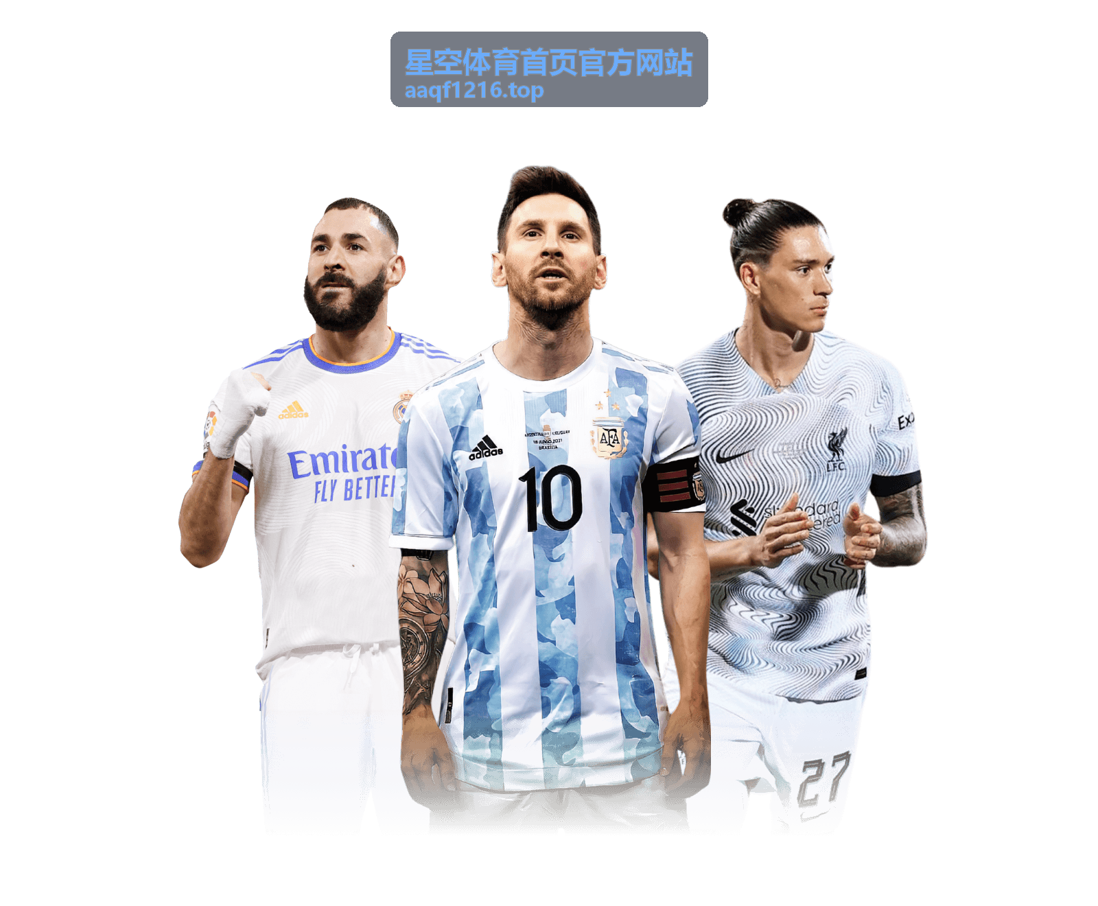 星空体育 — 深度赛事分析